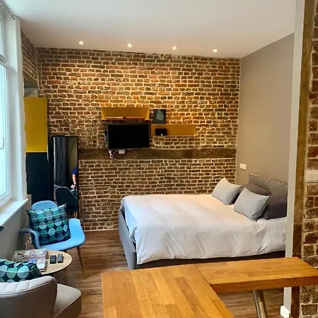 My Little - Le Vieux De Rousseau Apartment Lille
